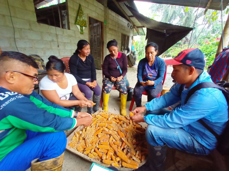 Intercambio de saberes y tradiciones