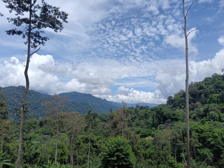 WhatsApp Image 2024-05-28 at 11.55