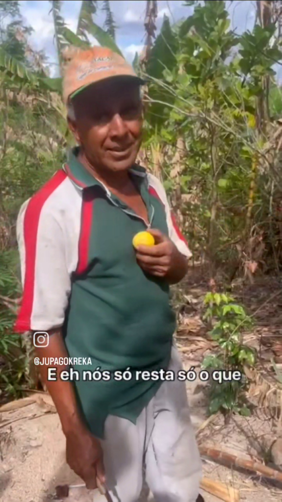 Food and Restoration by Real (2026)