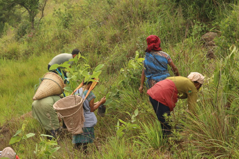 Communities participating in tree plantation NESFAS