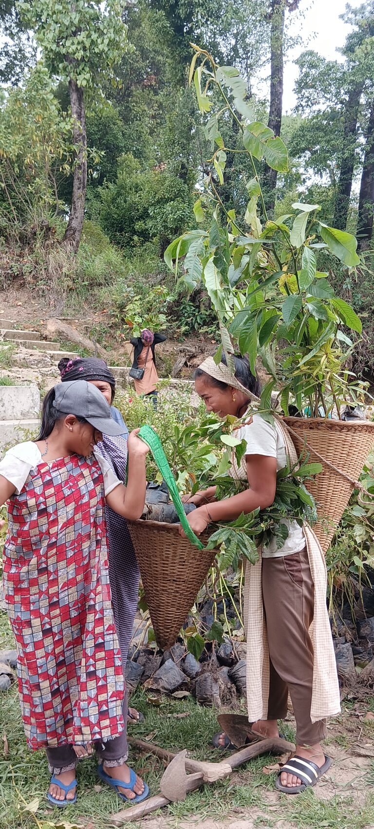 Community took part in the plantation process NESFAS