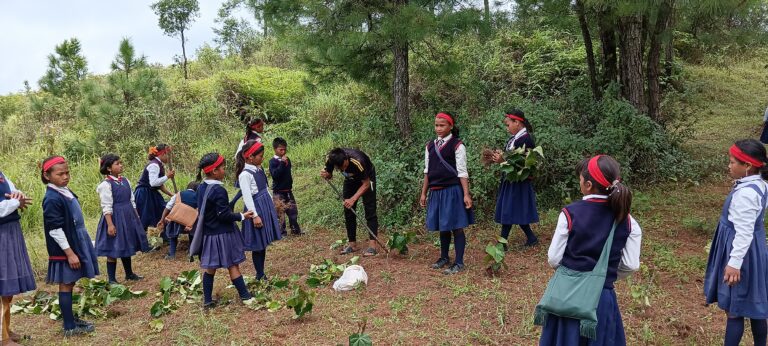 School children participated in the School of life NESFAS