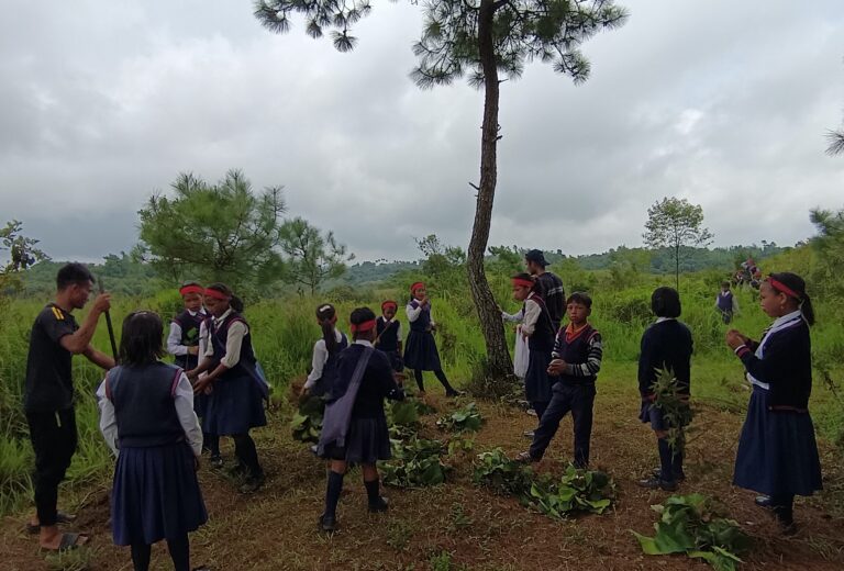 School children participated in the School of life NESFAS